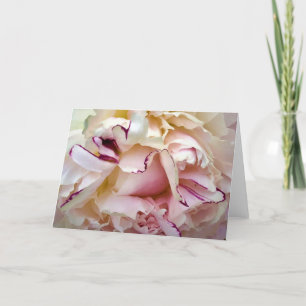 Peony, card