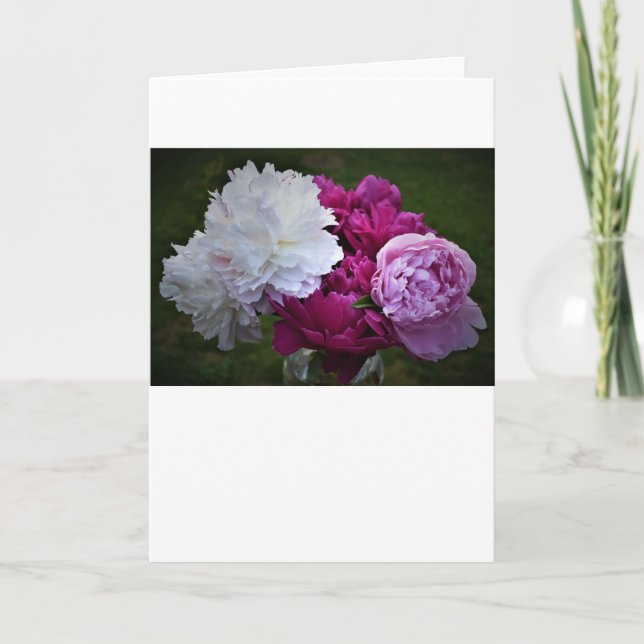 Peony, card (Front)