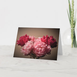 Peony, carte