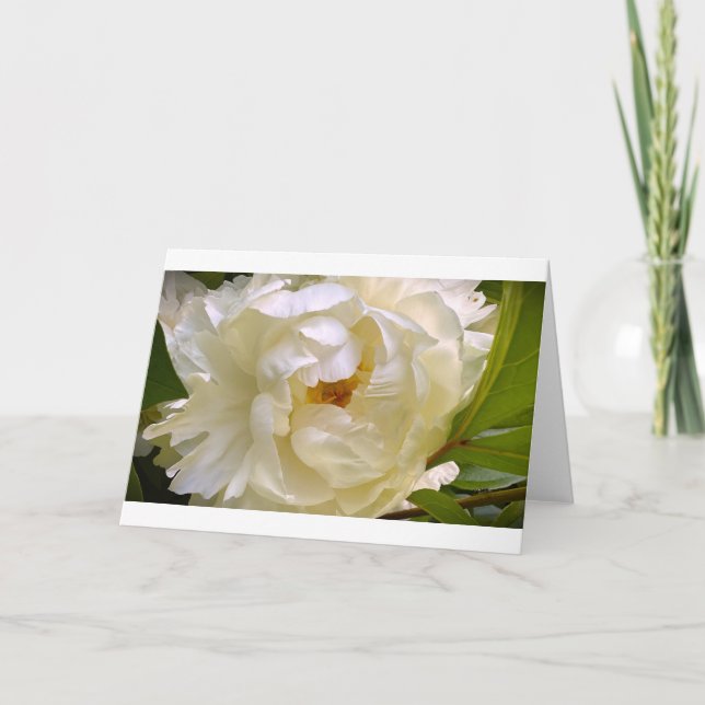 Peony, carte (Devant)