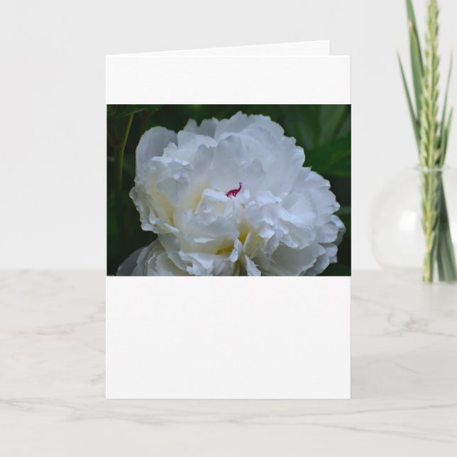 Peony, carte (Devant)