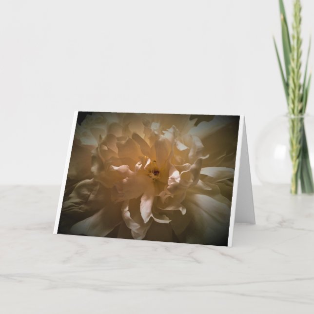 Peony, carte (Devant)