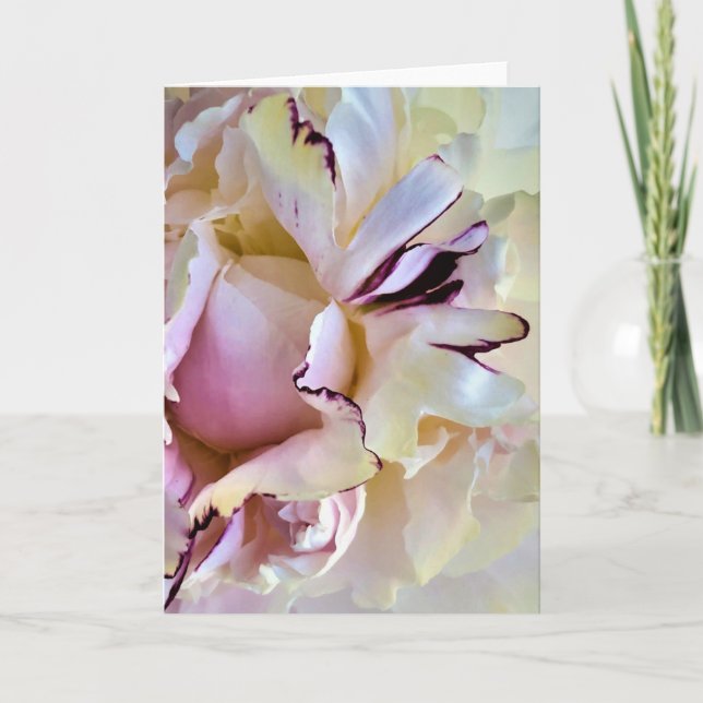 Peony, carte (Devant)