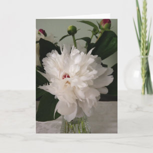 Peony, carte