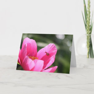 Peony "Chameleon" Card