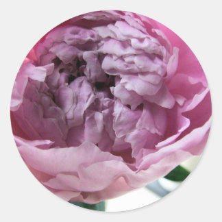 Peony Classic Round Sticker