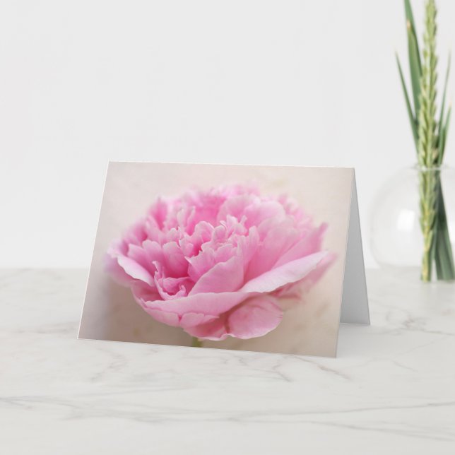Peony closeup birthday card (Front)
