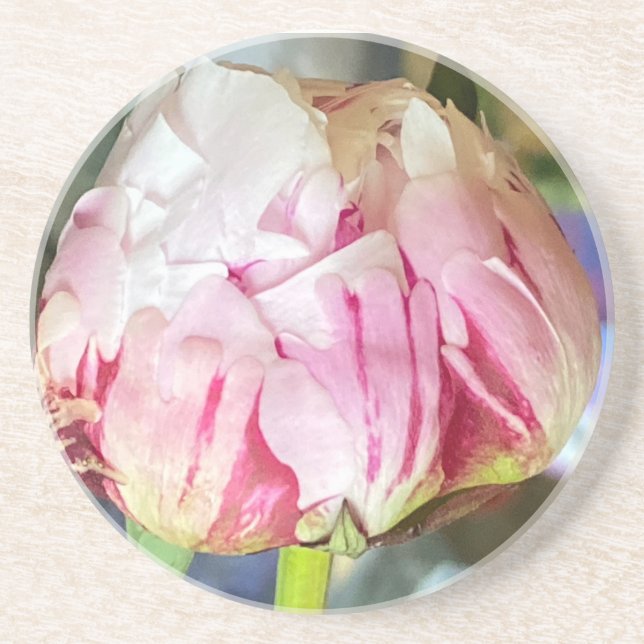 Peony coaster (Front)