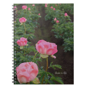 Peony Field Notebook