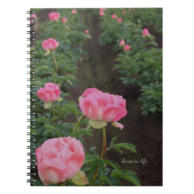 Peony Field Notebook (Front)