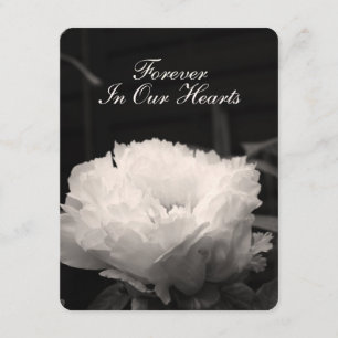 Peony Floral Photography 1 Funeral Announcement