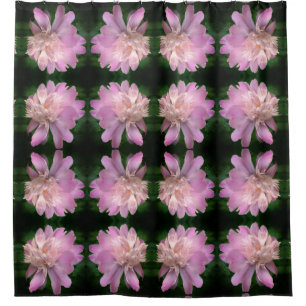 Peony Flower In Bloom Nature Pattern  