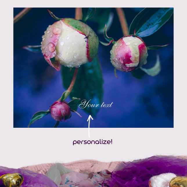 Peony flowers after rain customizable  poster (Creator Uploaded)