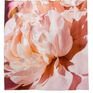Peony flowers as luxury floral background, wedding
