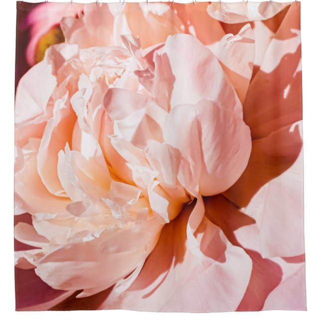 Peony flowers as luxury floral background, wedding (Front)