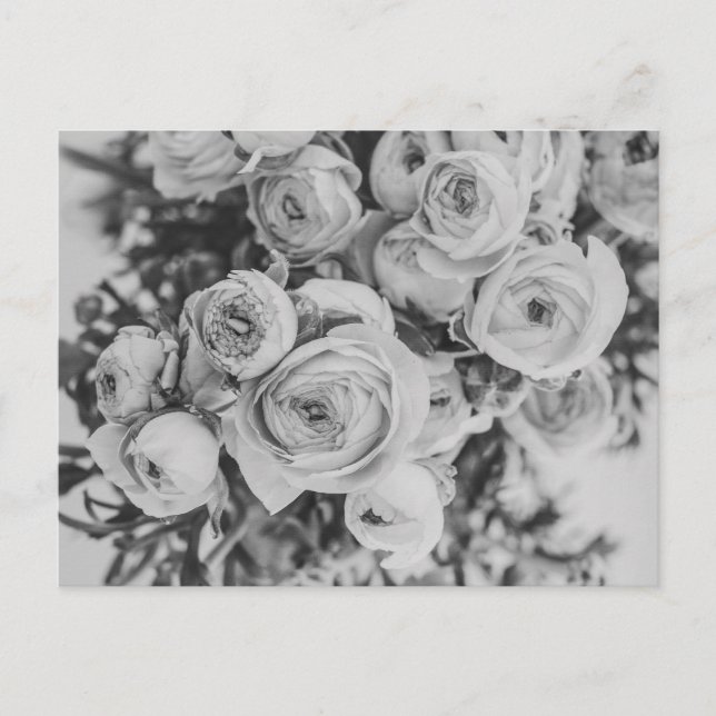 PEONY FLOWERS POSTCARD (Front)