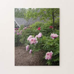 Peony Garden Jigsaw Puzzle