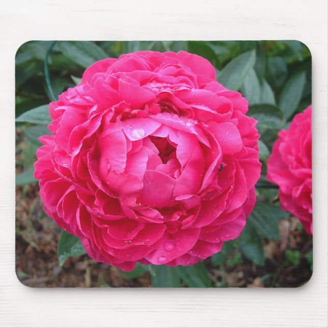Peony Mousepad (Front)