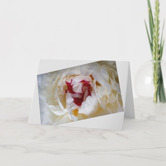 Peony petals holiday card (Front)