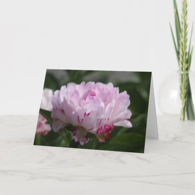 Peony "Petit Elegance" Card (Front)