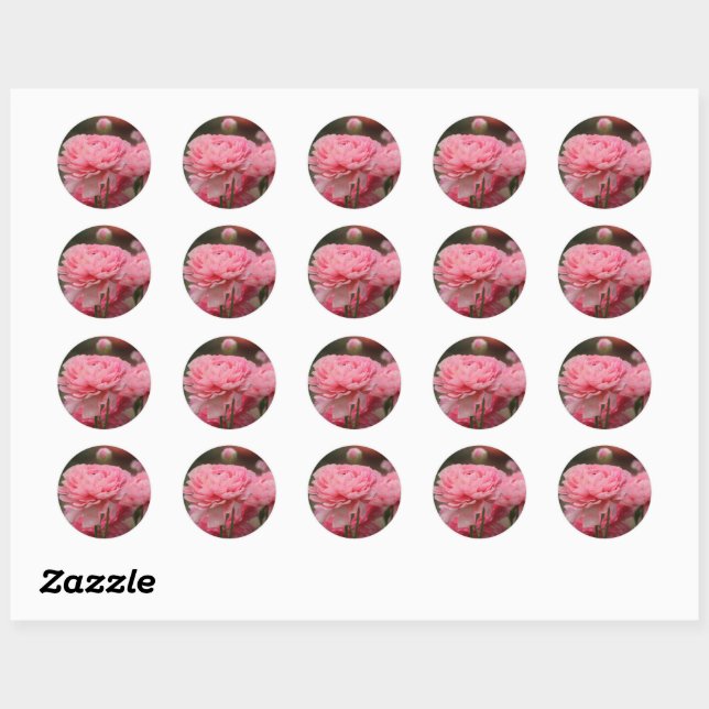 Peony Pink Ranunculus Closeup Classic Round Sticker (Sheet)