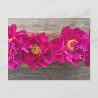 peony postcard