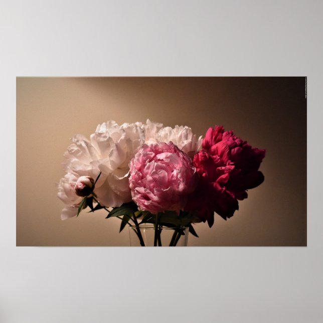 Peony, Poster (Front)