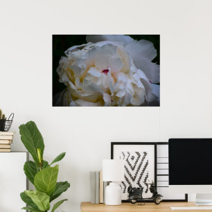 Peony, Poster