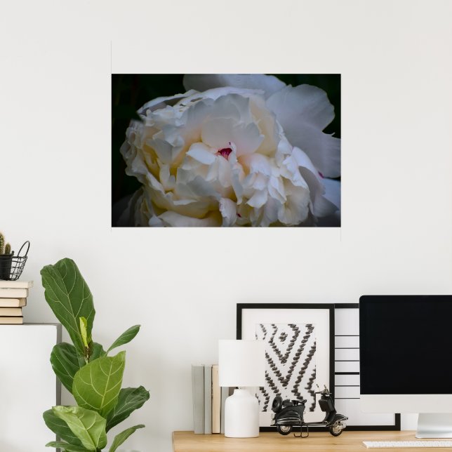 Peony, Poster (Home Office)