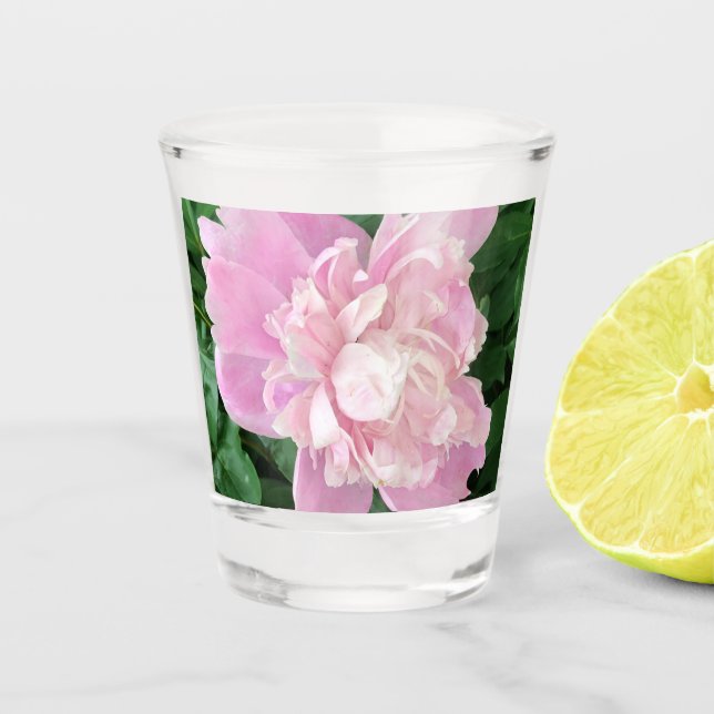 Peony Shot Glass (Front)