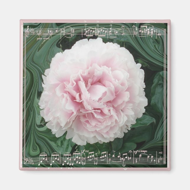 PeonyMusicMagnet Magnet (Front)