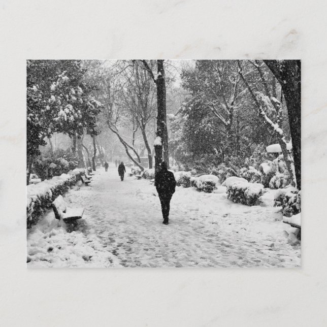 People at park in snowy winter day postcard (Front)