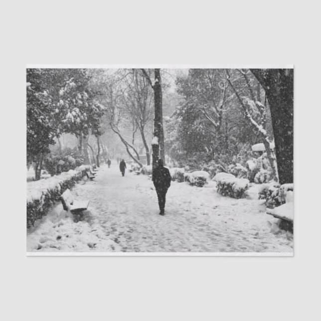 People at park in snowy winter day tissue paper (Front)