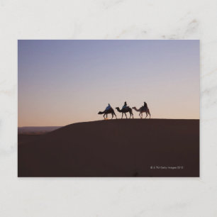 People riding camels, Morocco Postcard