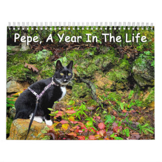 Pepe, A Year In The Life Calendar