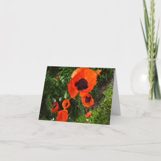 Pépies Carte de voeux florale vierge (Devant)