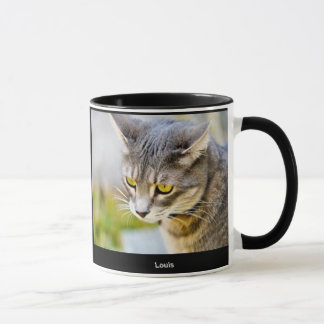 Pepin and Louis mug