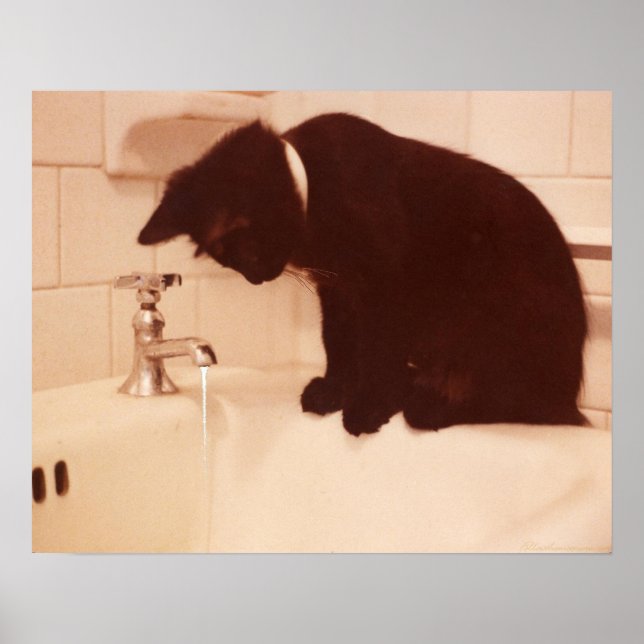 Pepper Black Cat Antique Bathroom Poster (Front)