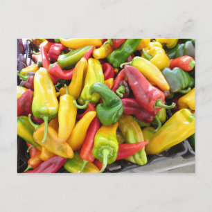 Pepper Collage Postcard