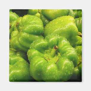 Pepper Magnet 02