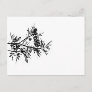 Pepper Tree Flowers Leaves Nature Postcard