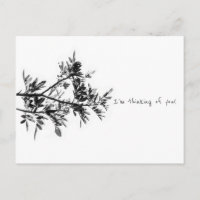 Pepper Tree I'm thinking of you Postcard