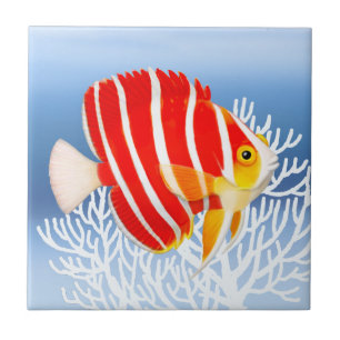 Peppermint Angelfish Tile