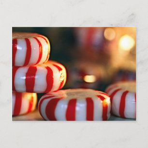Peppermint Candy Postcard