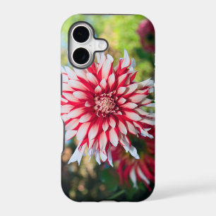 Peppermint Dahlia iPhone 5 Case-Mate Case