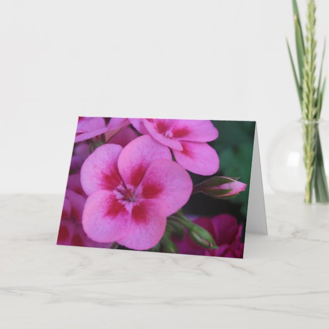 Peppermint Pink Geranium Card (Front)
