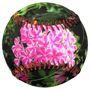 Peppermint Twist Phlox in the Flower Garden Softball