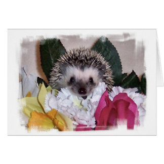 Pepperpot the Hedgehog