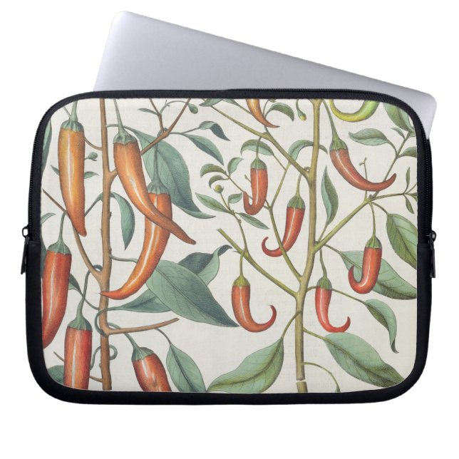 Peppers: 1.Piper Indicum maximum longum; 2.Piper I Laptop Sleeve (Front)