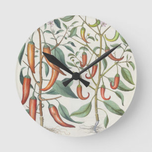 Peppers: 1.Piper Indicum maximum longum; 2.Piper I Round Clock